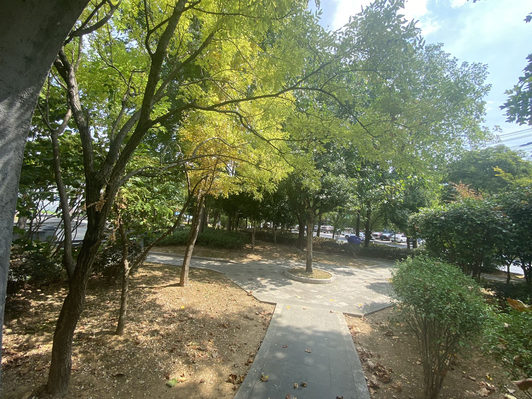 85820484.jpg 85820484.jpg