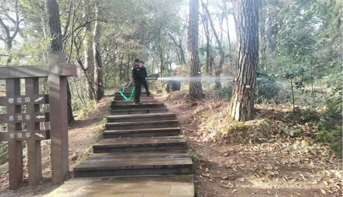 51357528.png image.png